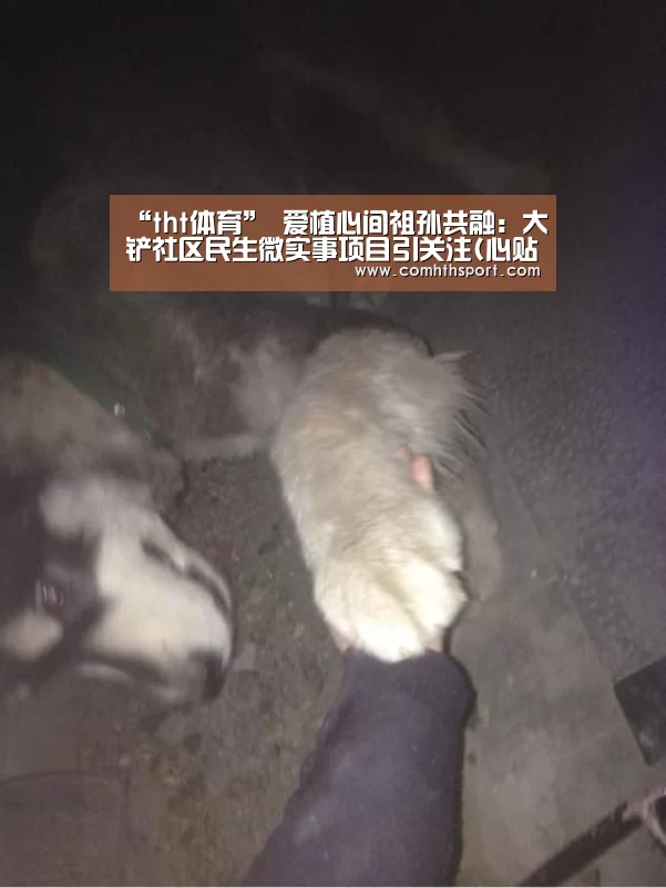 “tht体育”
爱植心间祖孙共融:大铲社区民生微实事项目引关注(心贴心咨询)(图1) hth体育官网入口