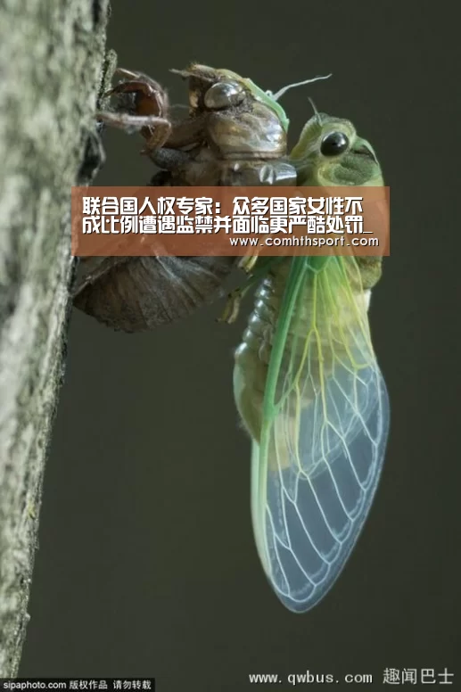 联合国人权专家:众多国家女性不成比例遭遇监禁并面临更严酷处罚_hth官网(图1) hth官网