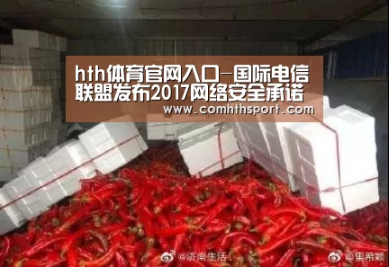 hth体育官网入口-国际电信联盟发布2017网络安全承诺排行榜 新加坡名列榜首(图1) hth官网