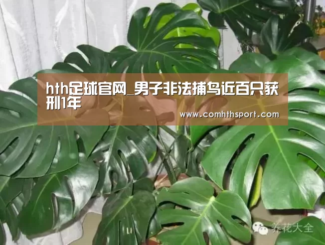 hth官网