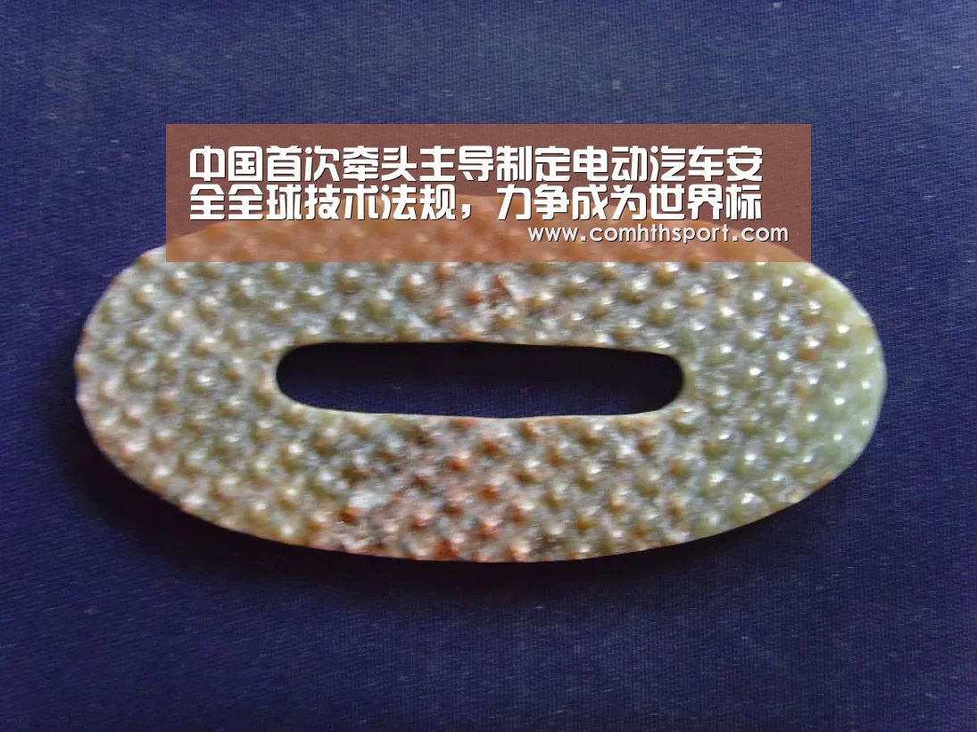中国首次牵头主导制定电动汽车安全全球技术法规,力争成为世界标杆-hth体育官网入口(图3) hth体育官网入口